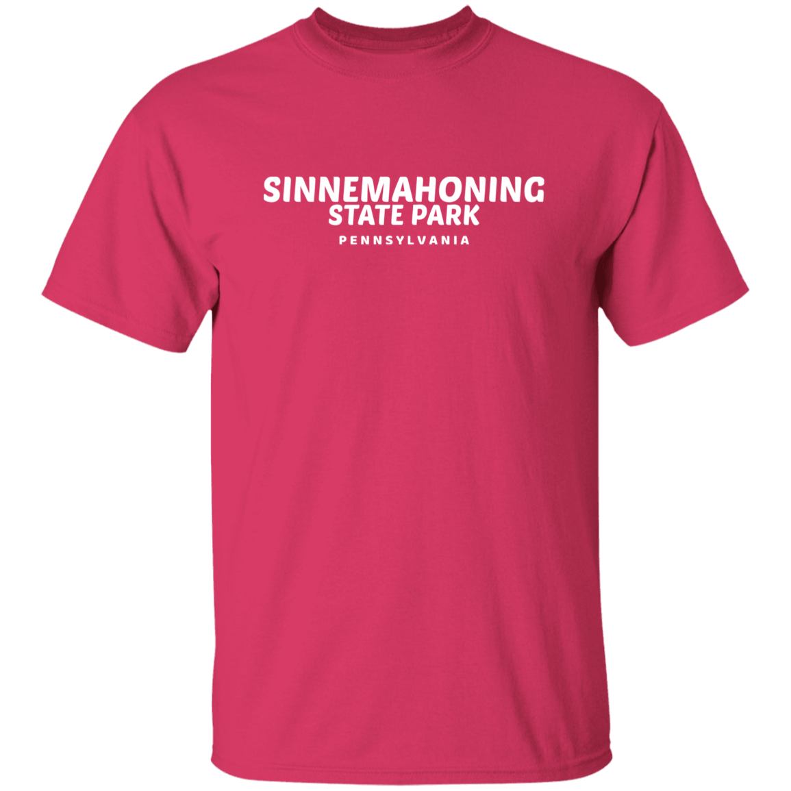 Sinnemahoning State Park T-Shirt