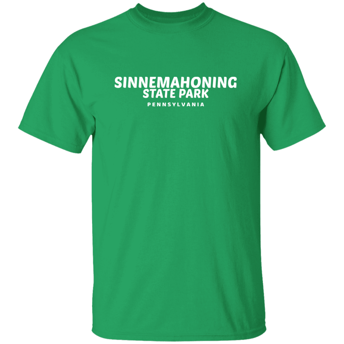 Sinnemahoning State Park T-Shirt