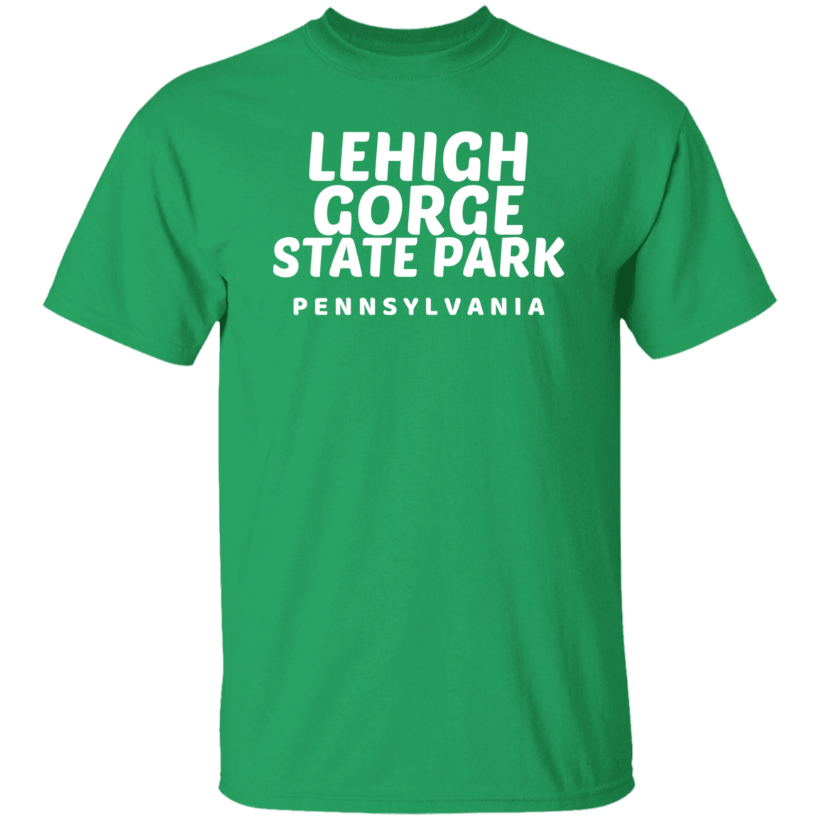 Lehigh Gorge State Park T-Shirt